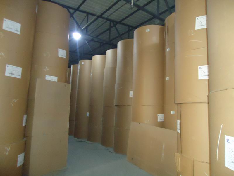 卷筒原材料图片